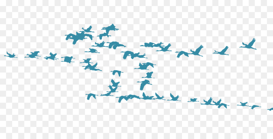 Oiseaux Volants，Ciel PNG