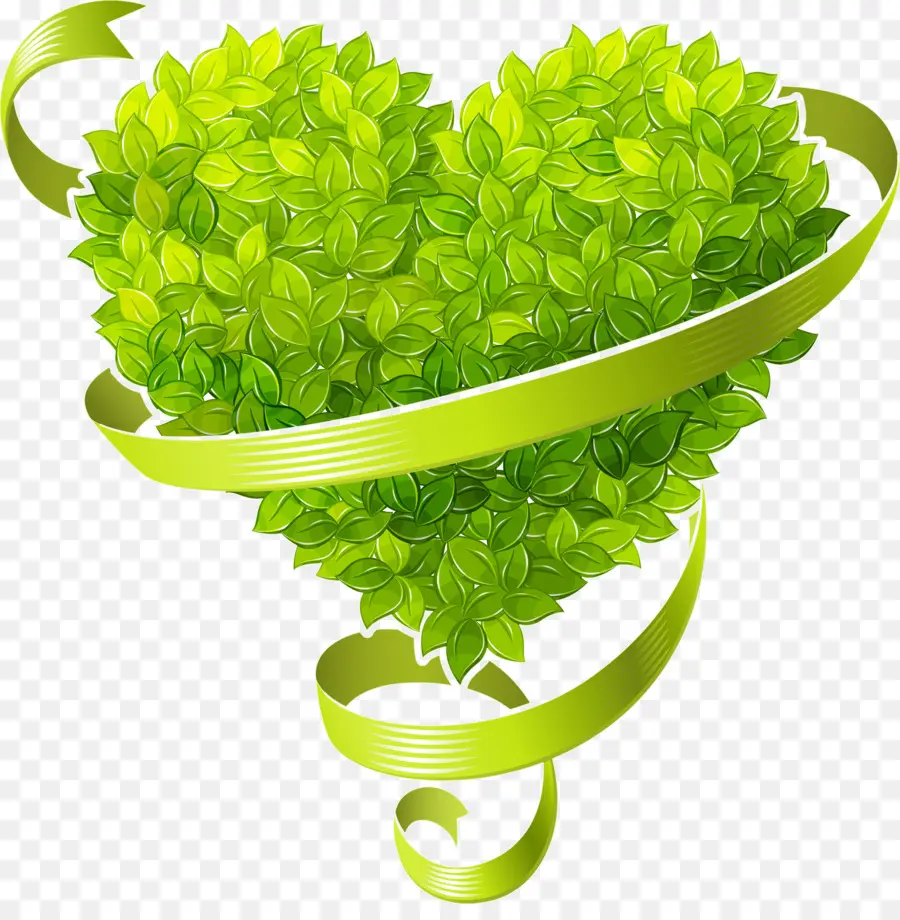 Coeur Vert，Feuilles PNG