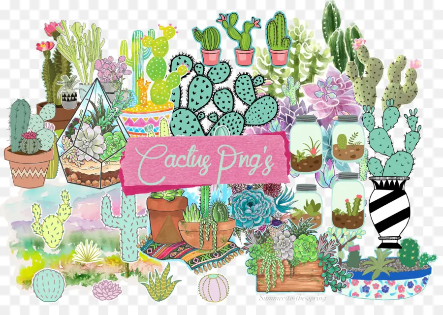 Collection De Cactus，Succulent PNG