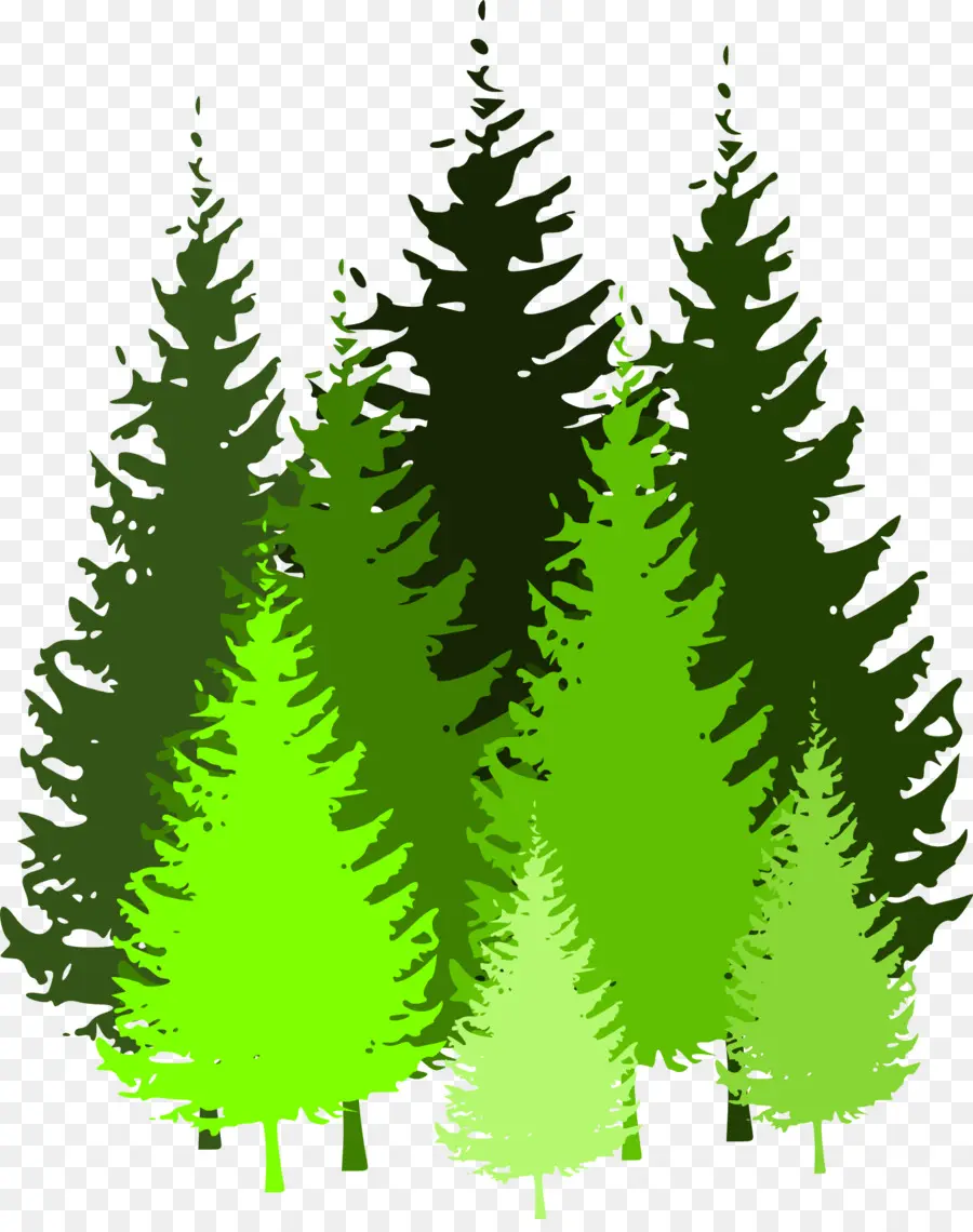 La Forêt，Pin PNG