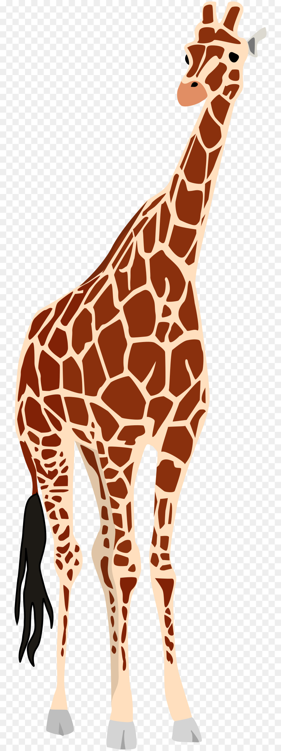 Girafe，Grand PNG