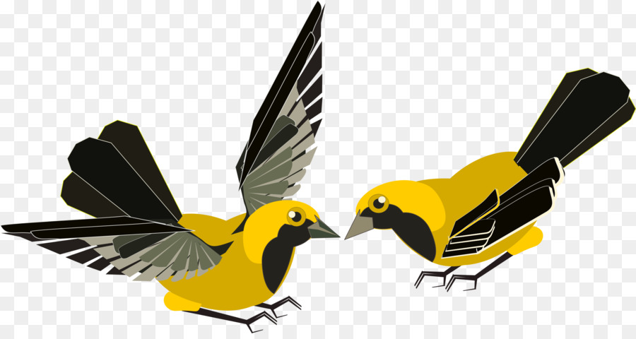 Oiseaux Jaunes，Vol PNG