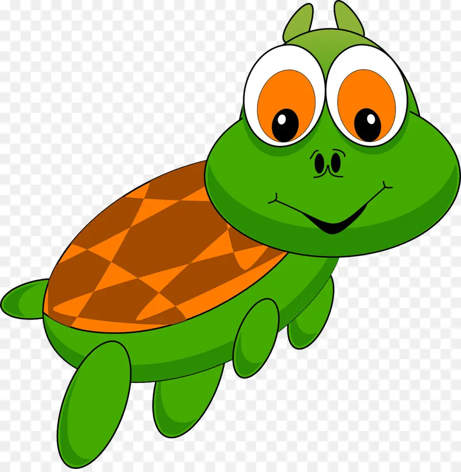 Tortue Heureuse，Reptile PNG