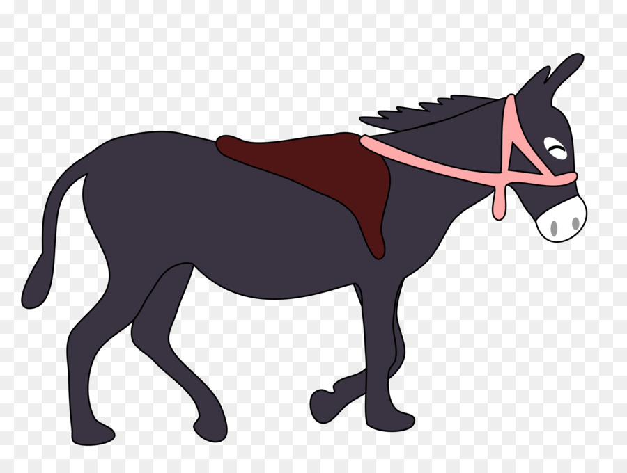 Âne，Mule PNG