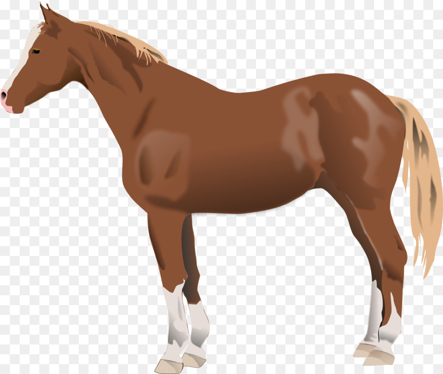 Cheval Qui Court，Animal PNG