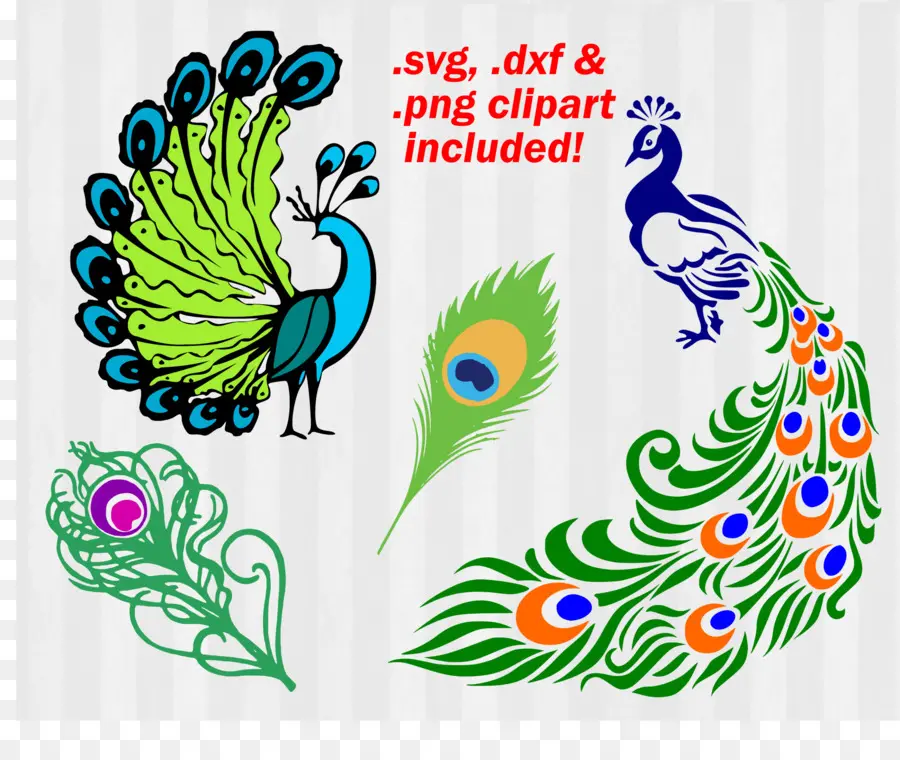 Paon Clipart，Plumes PNG