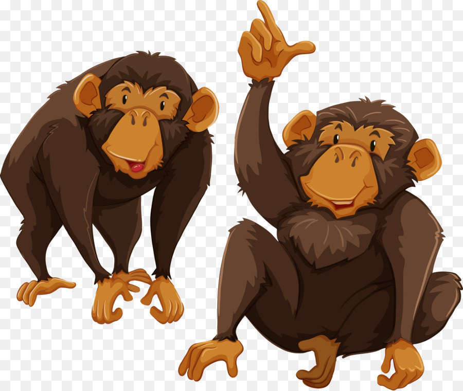 Chimpanzés，Deux PNG