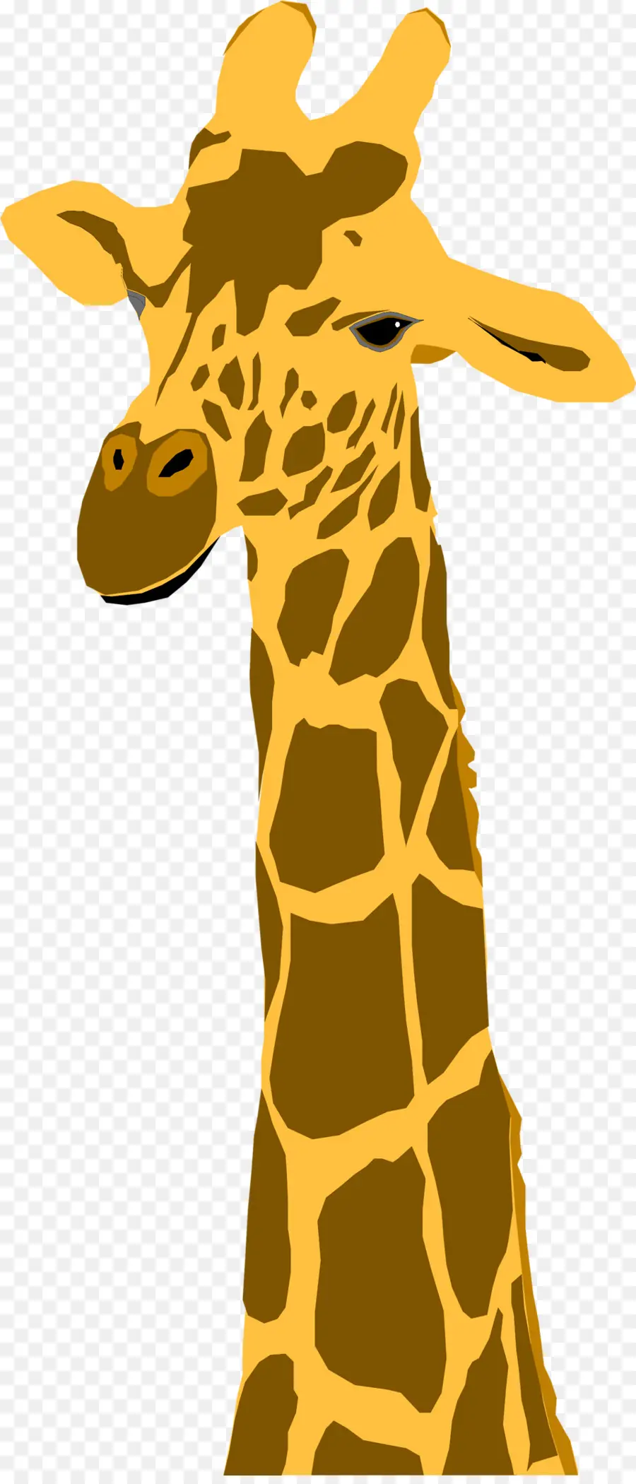 Girafe De Dessin Animé，Grand PNG