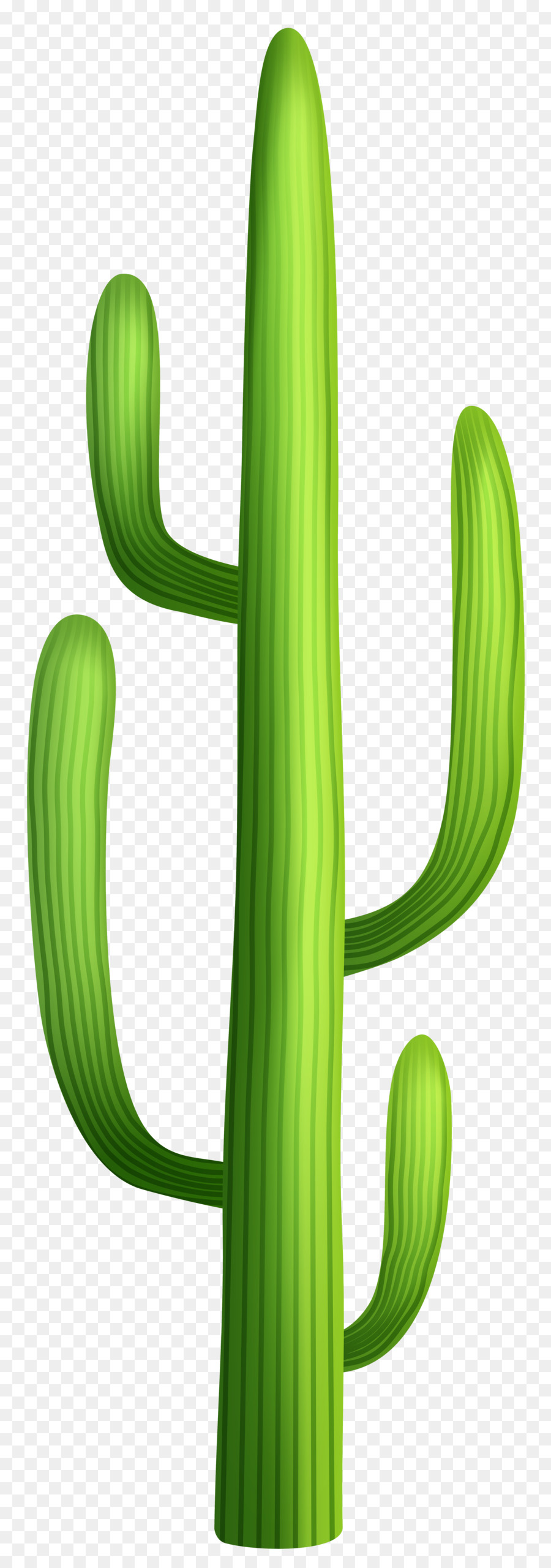 Cactus，Désert PNG