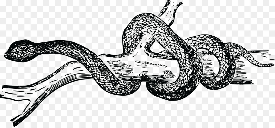 Serpent，Tshirt PNG