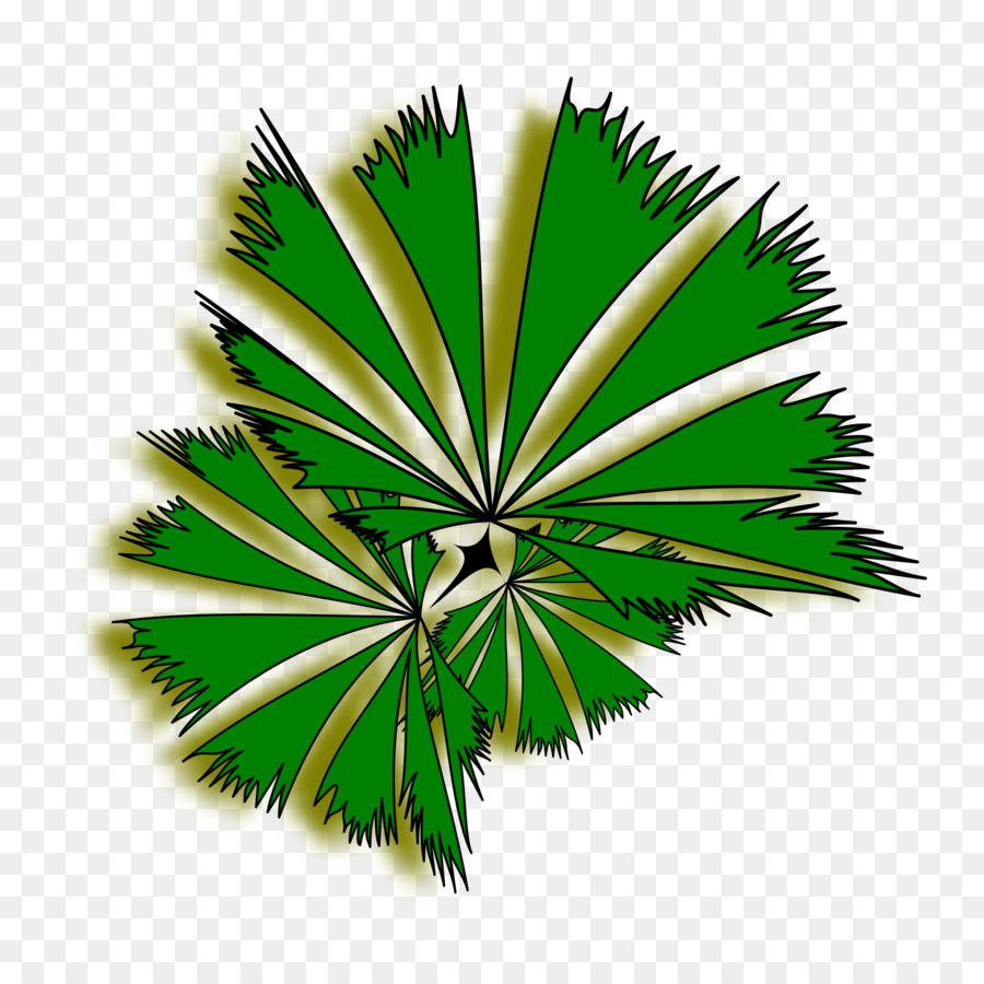 Arecaceae，Arbre PNG