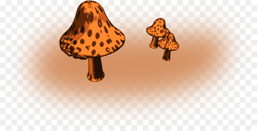 Champignons，Nature PNG