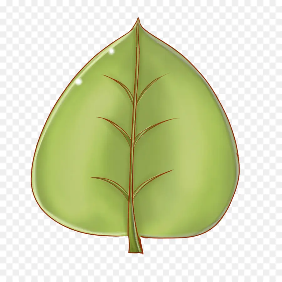 Feuille，Animation PNG