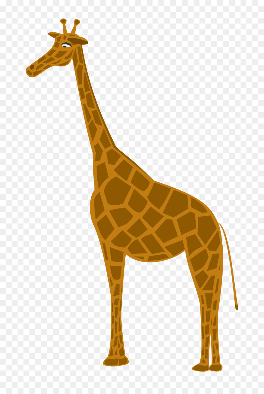Girafe Du Nord，Cerf PNG