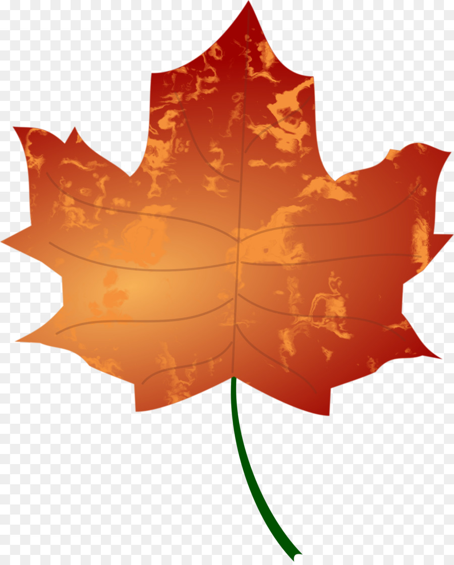 La Couleur Des Feuilles D Automne，Feuille PNG