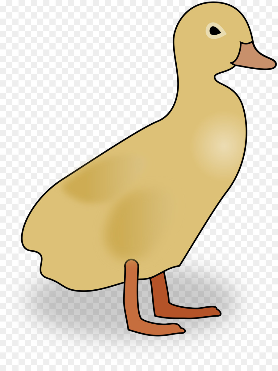 Canard，Oiseau PNG