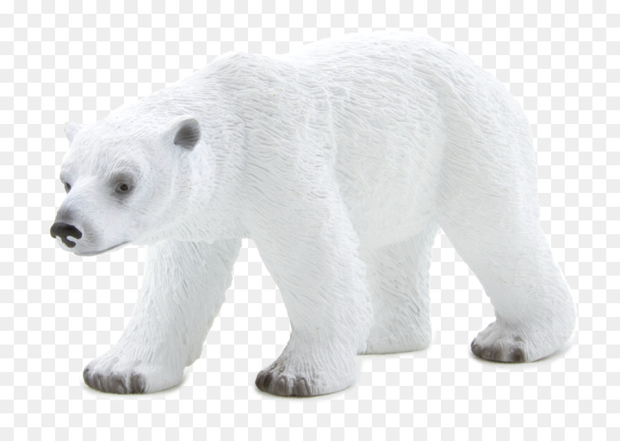 Ours Blanc，Blanc PNG