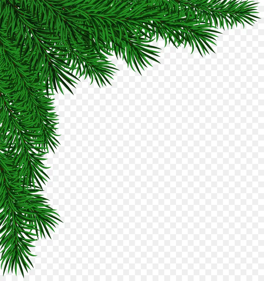 Pin Vert，Arbre PNG