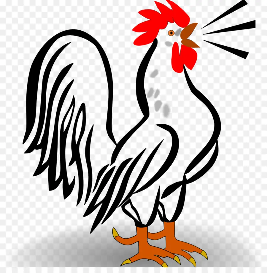 Coq，Blanc PNG