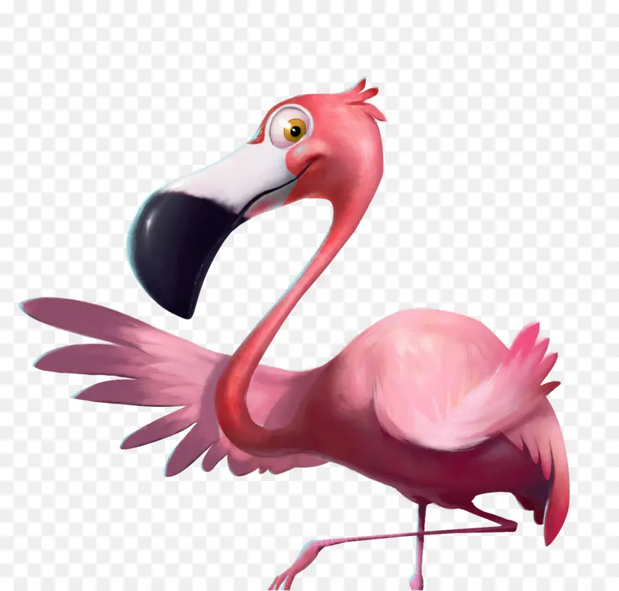 Flamant Rose，Oiseau PNG