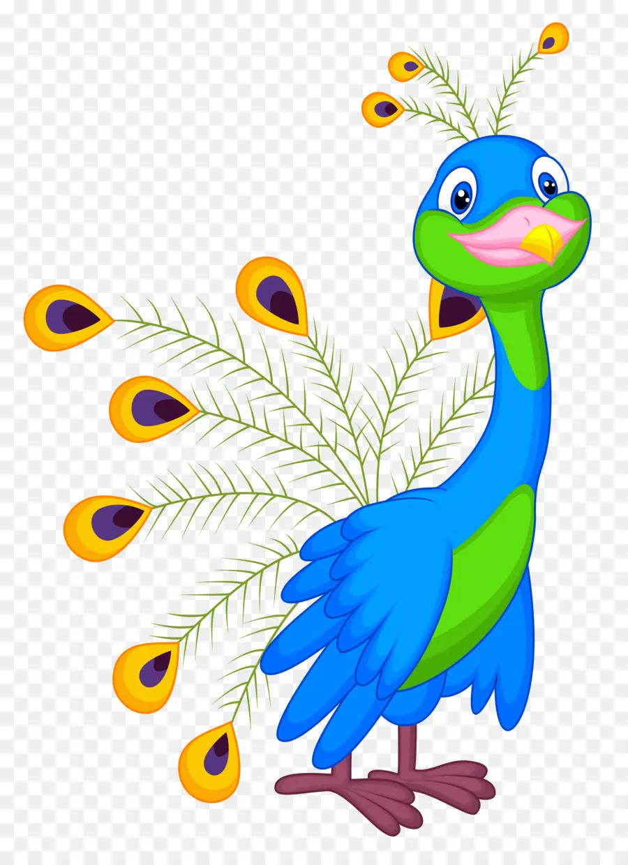 Paon De Dessin Animé Bleu Et Vert，Plumes PNG