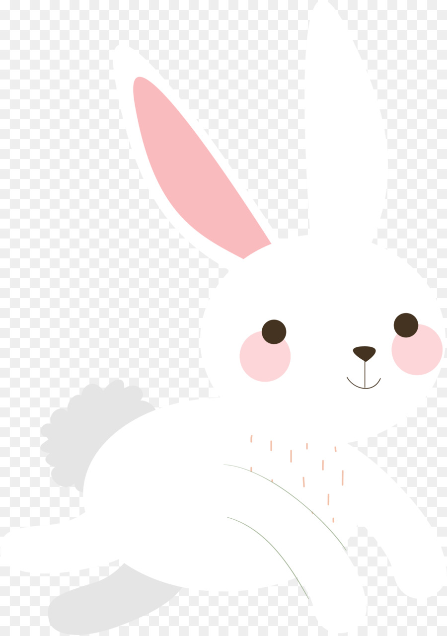 Lapin Blanc，Lapin PNG