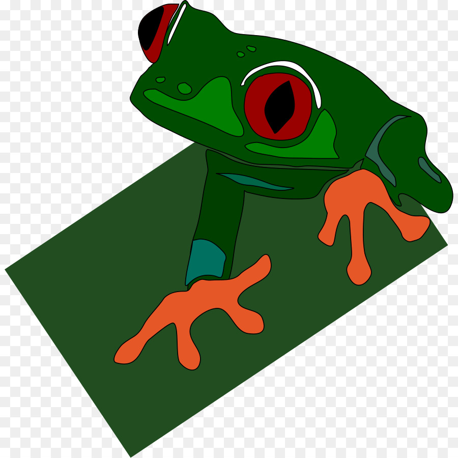 Grenouille，Grenouille D Arbre De Redeyed PNG