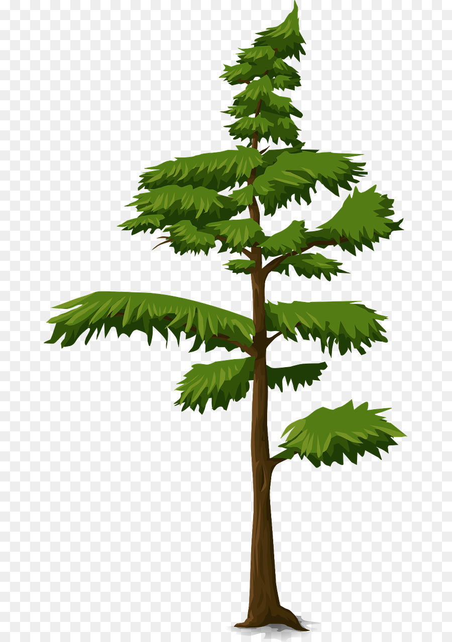 Arbre，Feuilles PNG