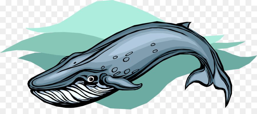 Marsouin，Baleine PNG