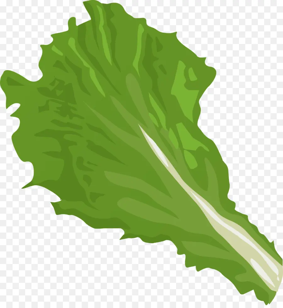 La Laitue Iceberg，Hamburger PNG