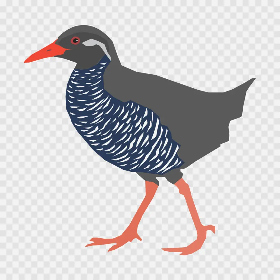 Oiseau Brun，Plumes PNG