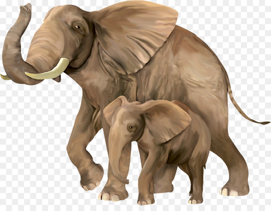 Éléphant D Asie，L éléphant PNG