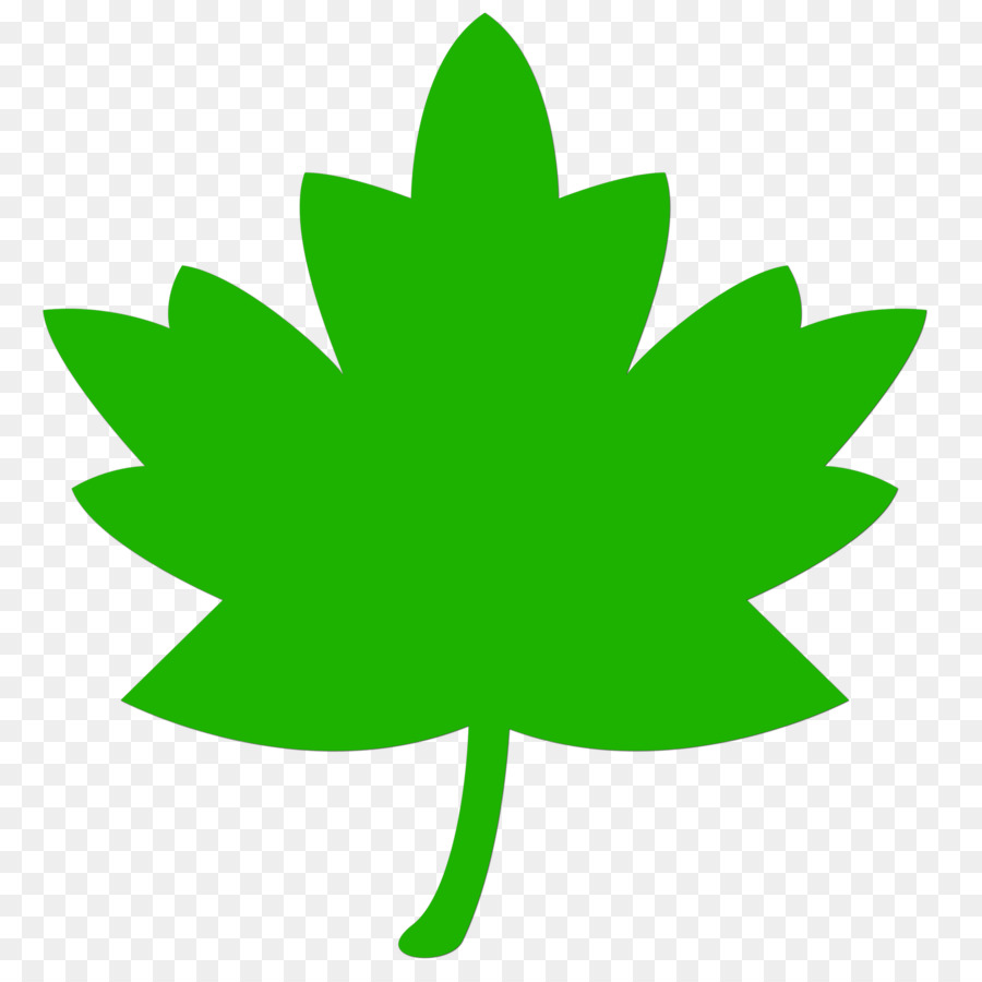 Feuille，Usine PNG