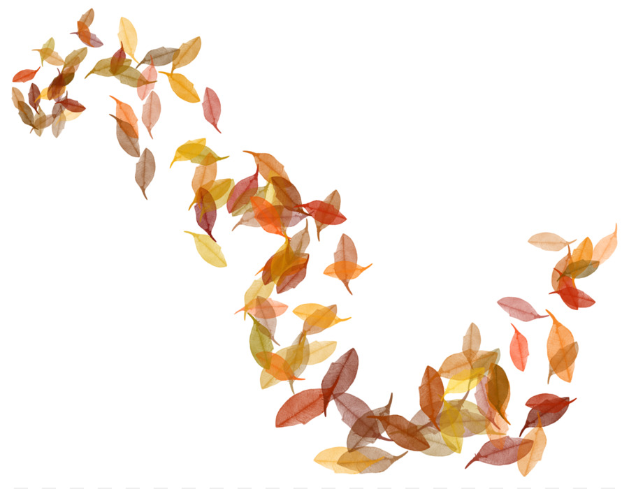 Feuille，La Couleur Des Feuilles D Automne PNG