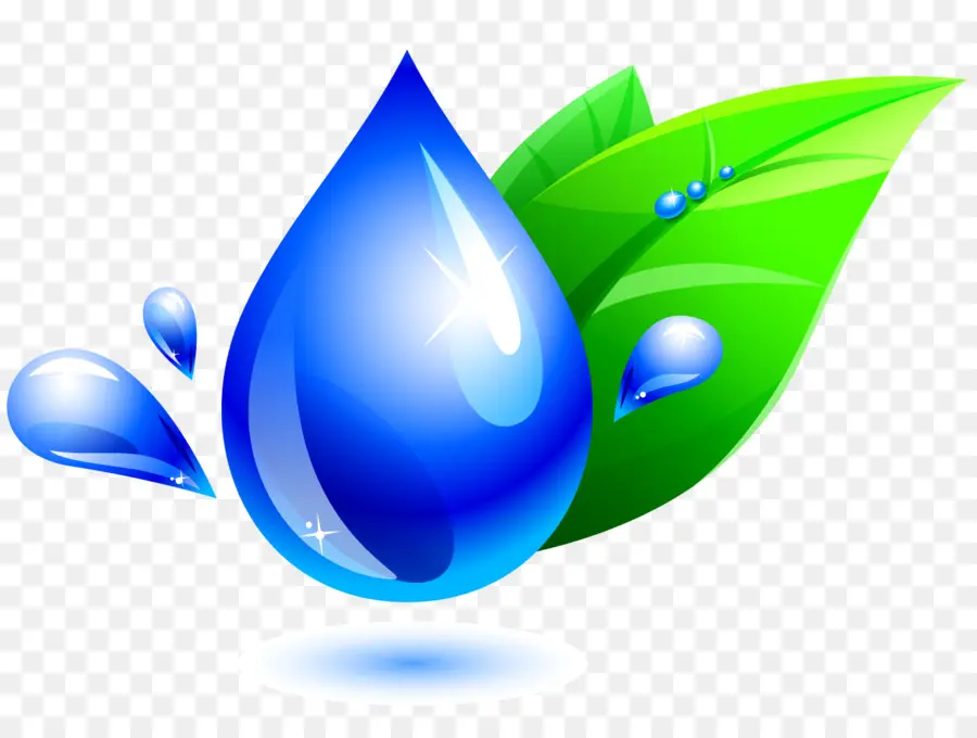 Goutte D'eau，Feuille PNG