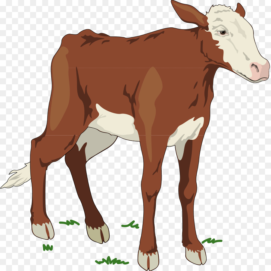 Veau，Vache PNG