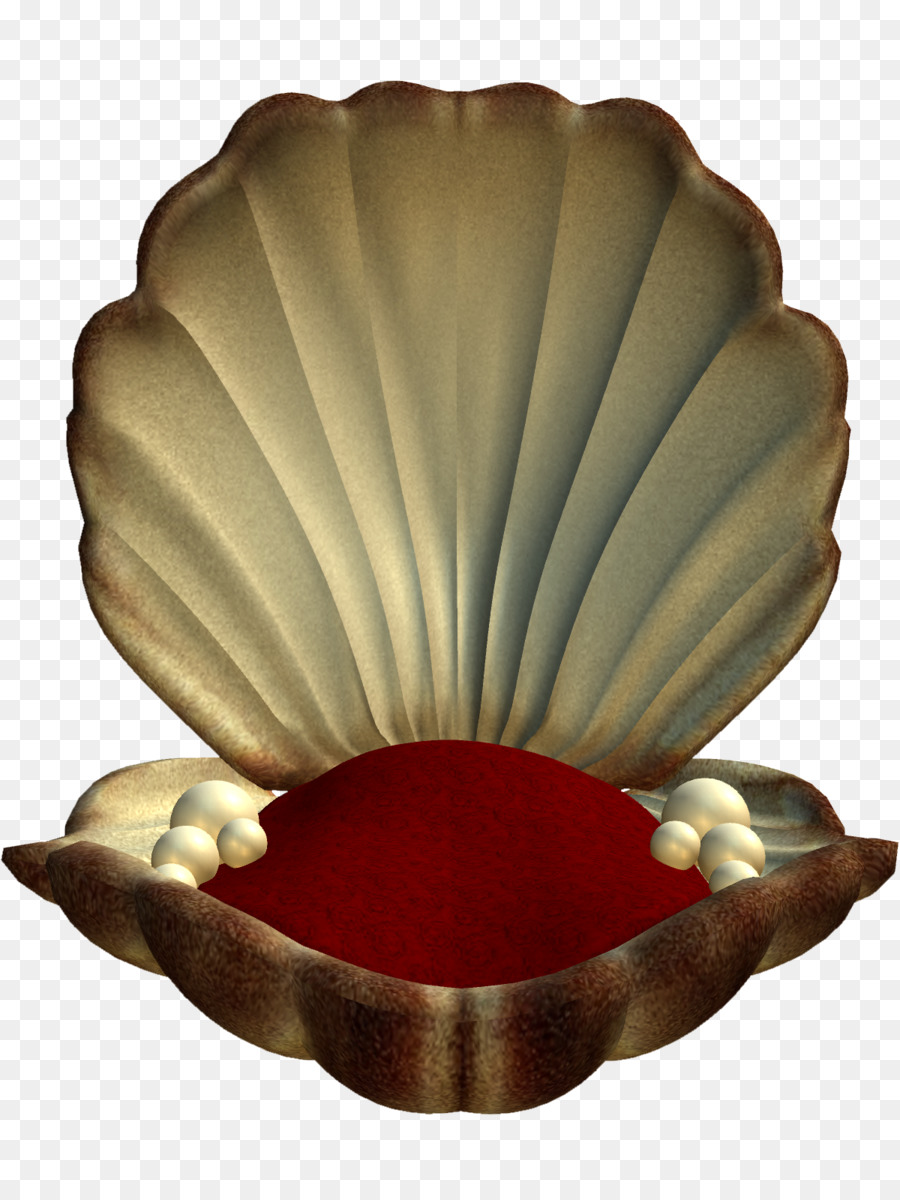 Coquille Ouverte，Perles PNG