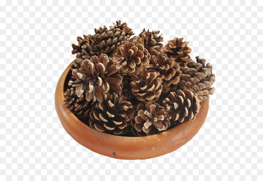 Bol De Pommes De Pin，Bol En Bois PNG