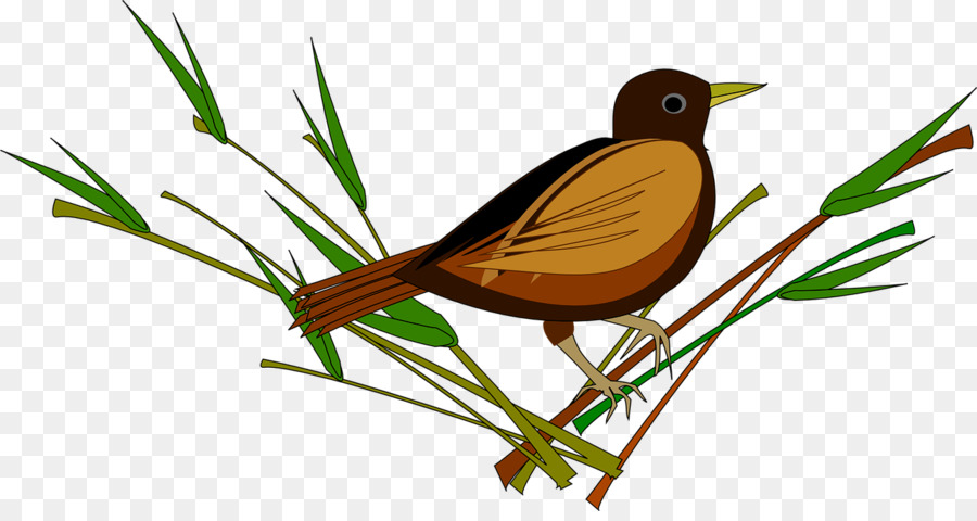 Oiseau，Oiseau Dans L Arbre PNG