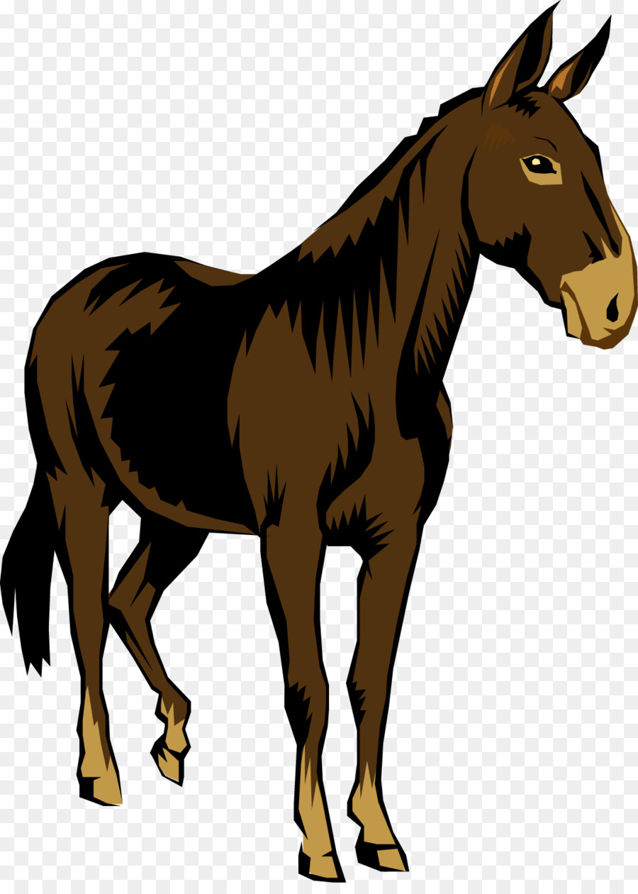 Cheval，équidé PNG