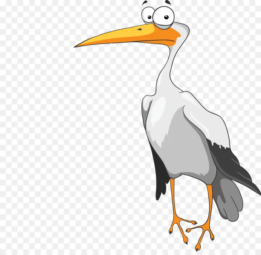 Cigogne，Animal PNG