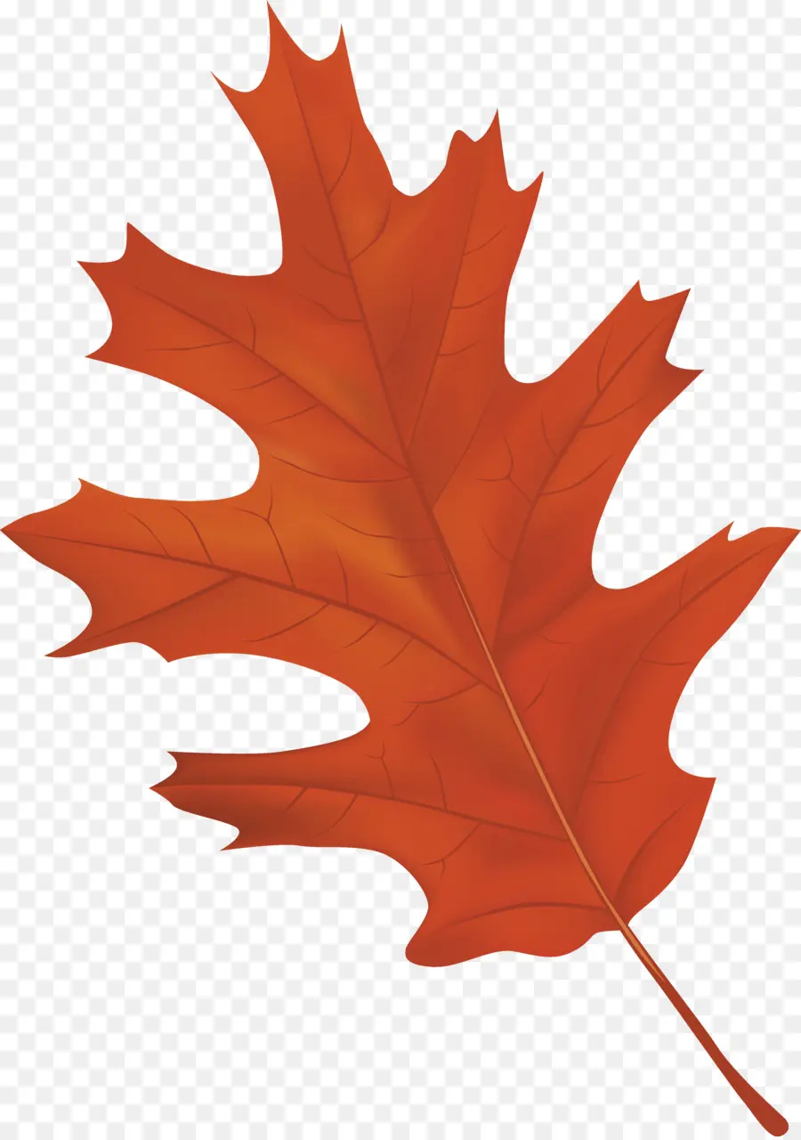 Feuille D'érable，Automne PNG