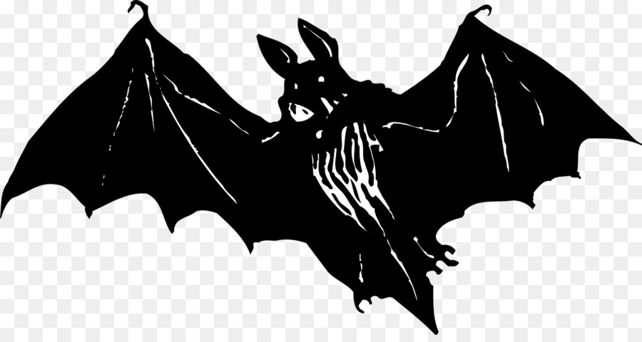 Chauve Souris Noire，Vol PNG