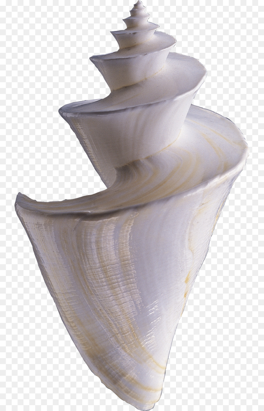 Coquillage，Spirale PNG