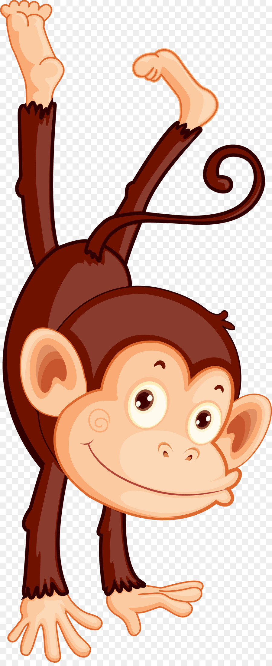 Singe，Brun PNG