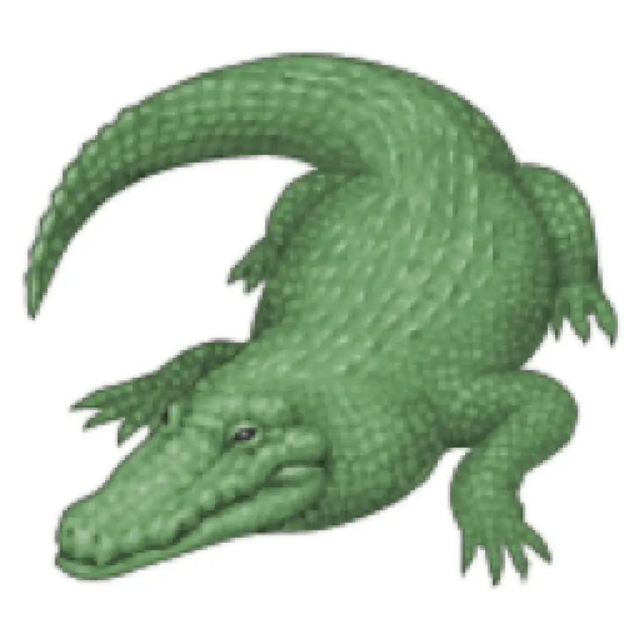 Crocodile，Vert PNG