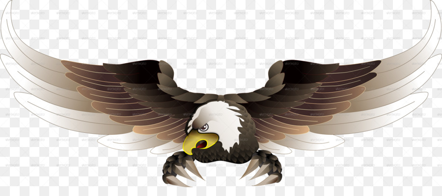 Aigle，Ailes PNG