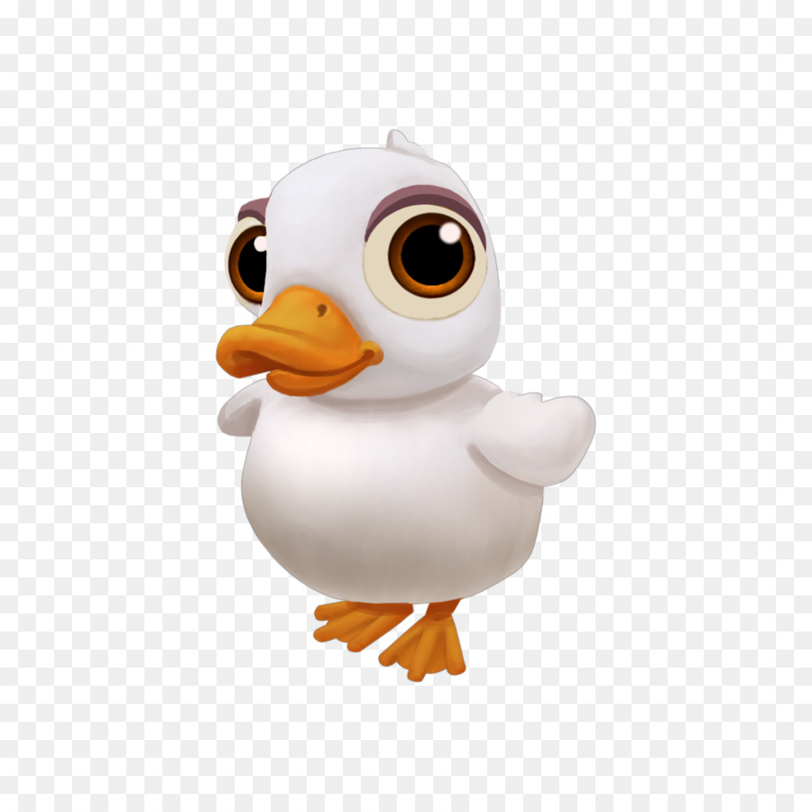 Mignon Oiseau Blanc，Dessin Animé PNG