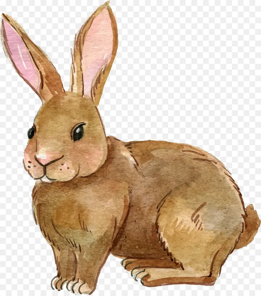 Lapin De Pâques，Pâques PNG