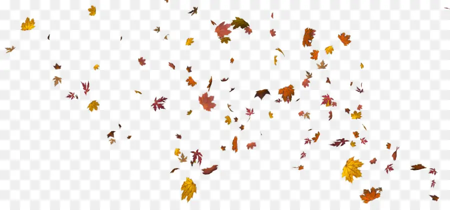 Feuilles D'automne，Chute PNG